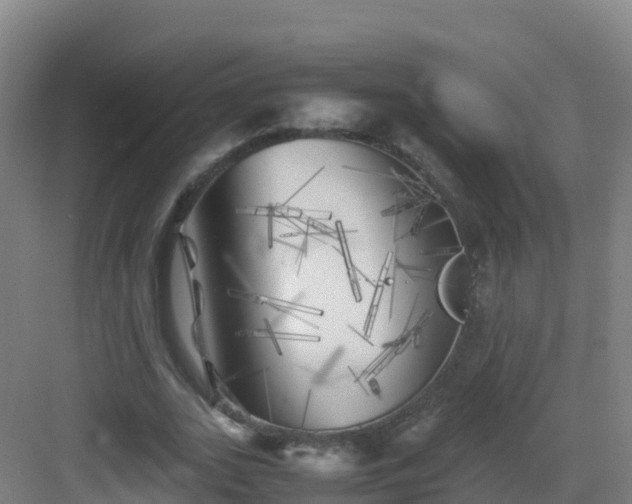 X0000083030727200702091342