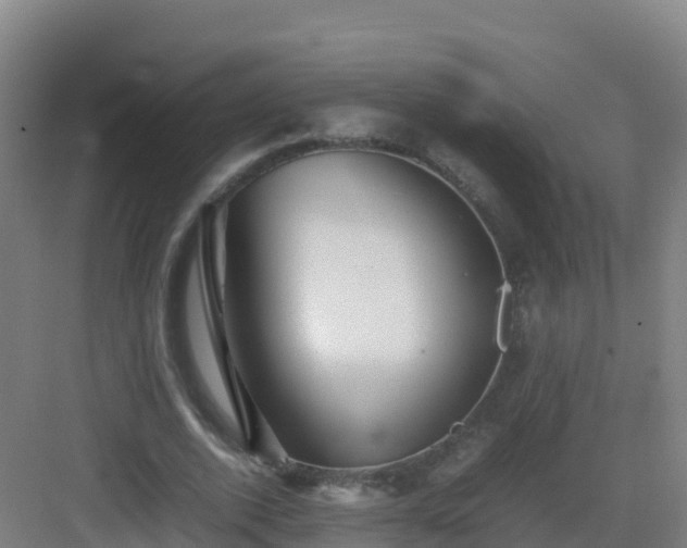 X0000083030728200702091342