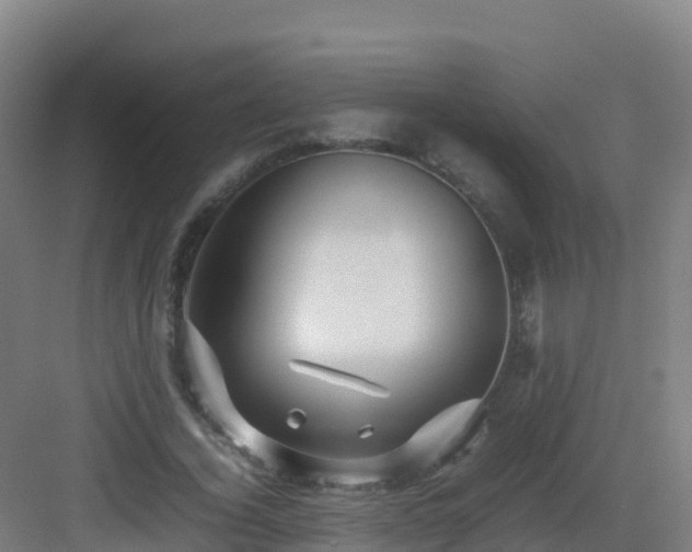 X0000083030732200702091342