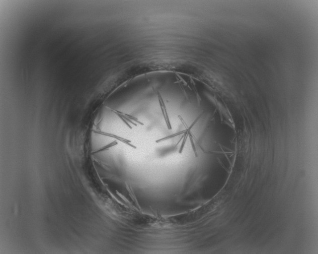 X0000083030742200702091342