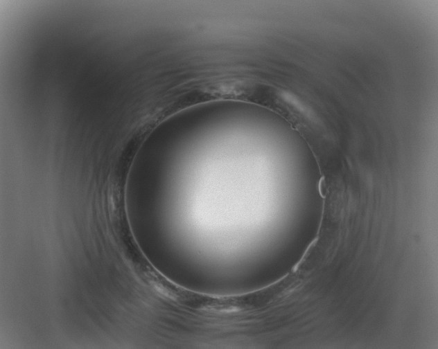 X0000083030747200702091342
