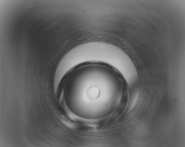 X0000083030750200702091342