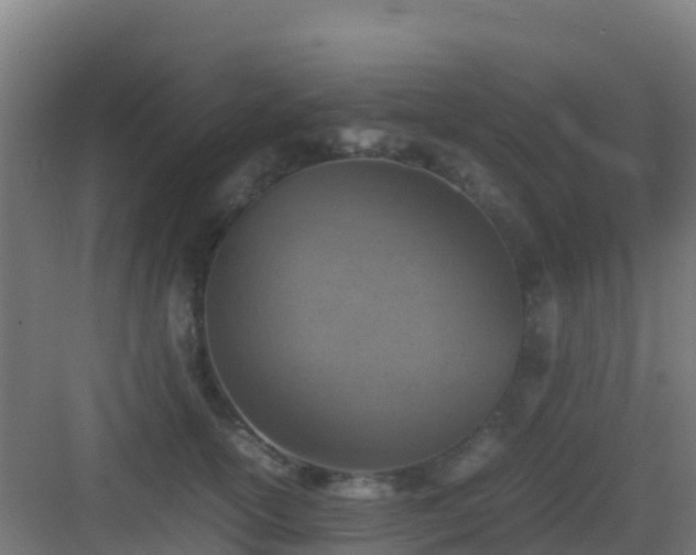 X0000083030754200702091342