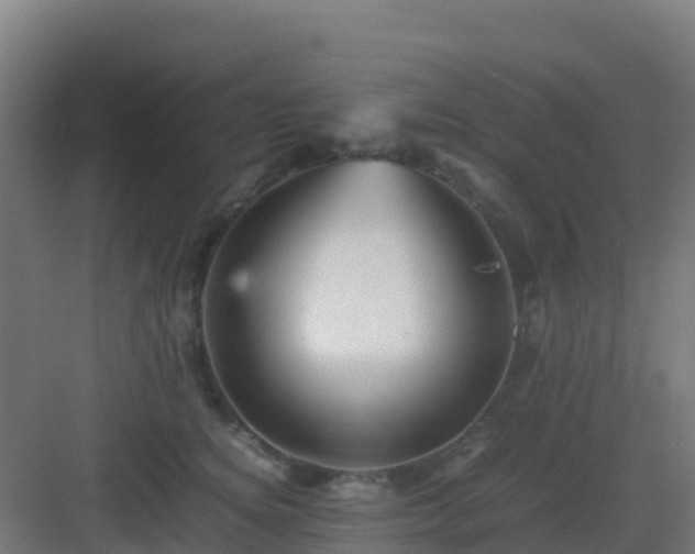 X0000083030756200702091342