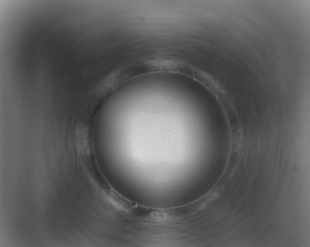 X0000083030764200702091343