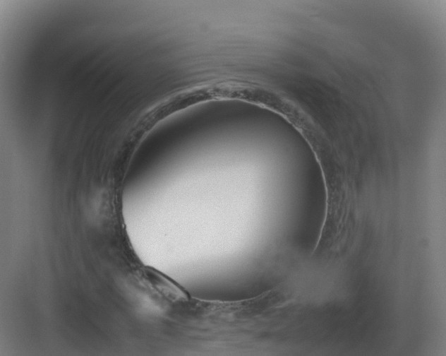 X0000083030773200702091342