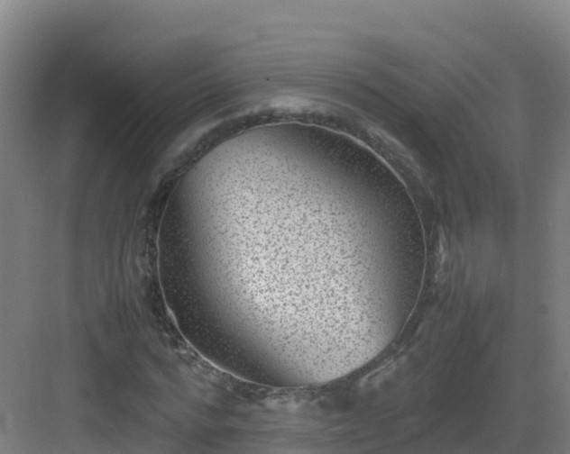 X0000083030776200702091342
