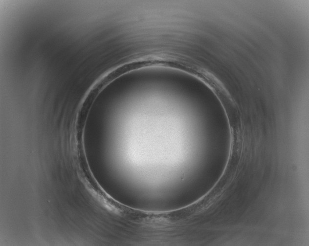 X0000083030784200702091342