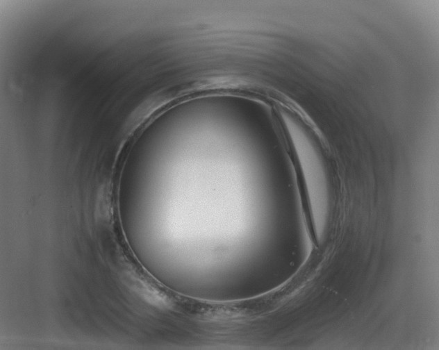 X0000083030786200702091342