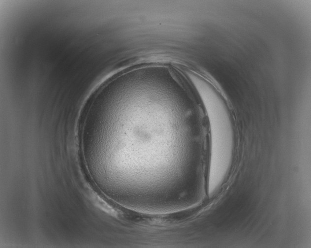 X0000083030787200702091342