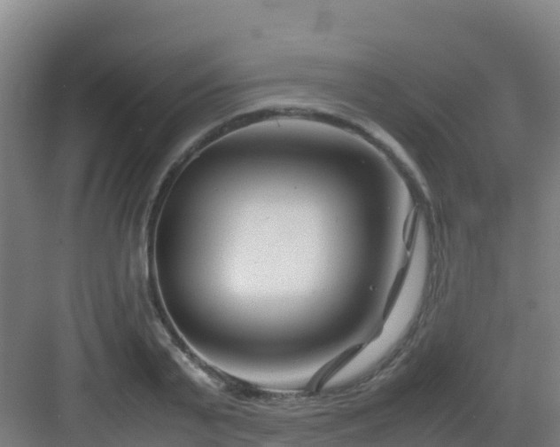 X0000083030791200702091342