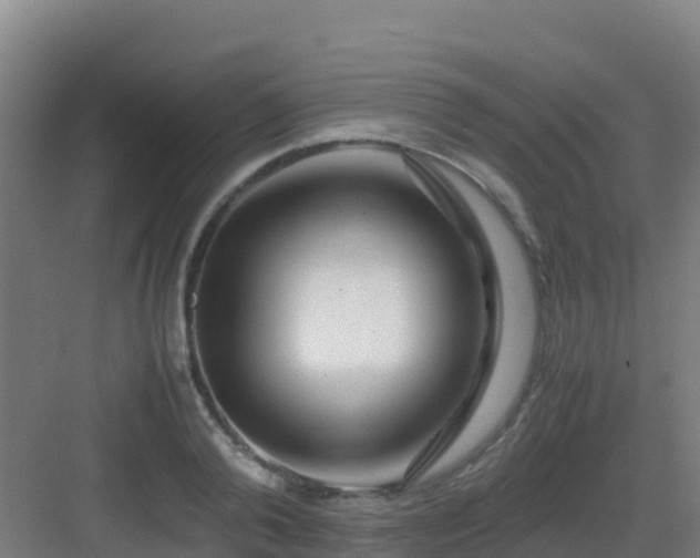 X0000083030792200702091341