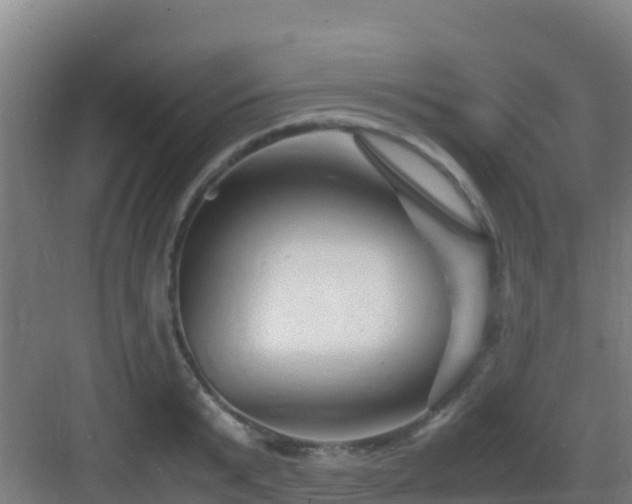X0000083030799200702091341