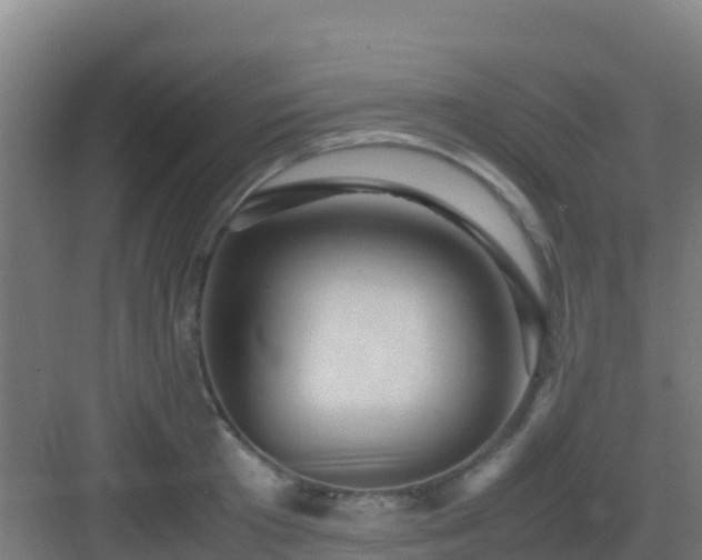 X0000083030801200702091341