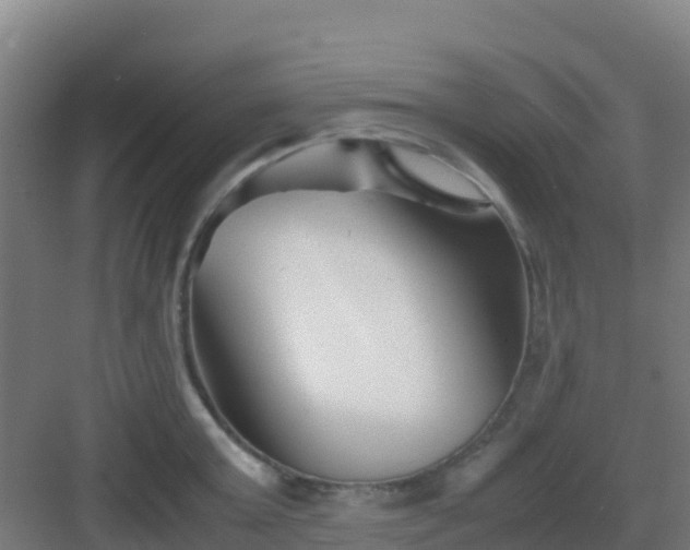 X0000083030803200702091341