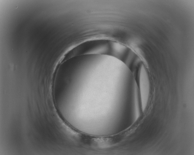 X0000083030805200702091341