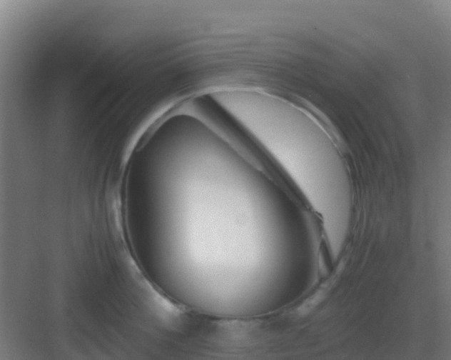X0000083030812200702091341