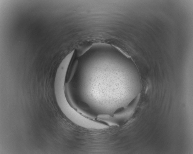 X0000083030818200702091340