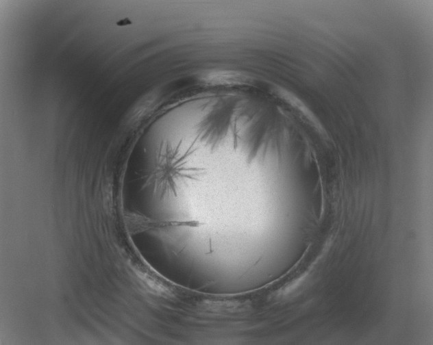 X0000083030825200702091340