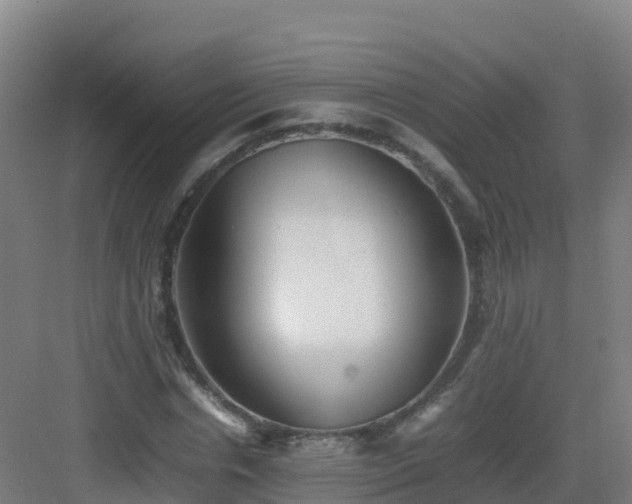 X0000083030826200702091340