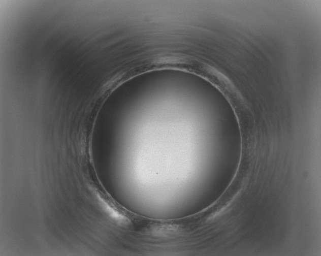 X0000083030833200702091341