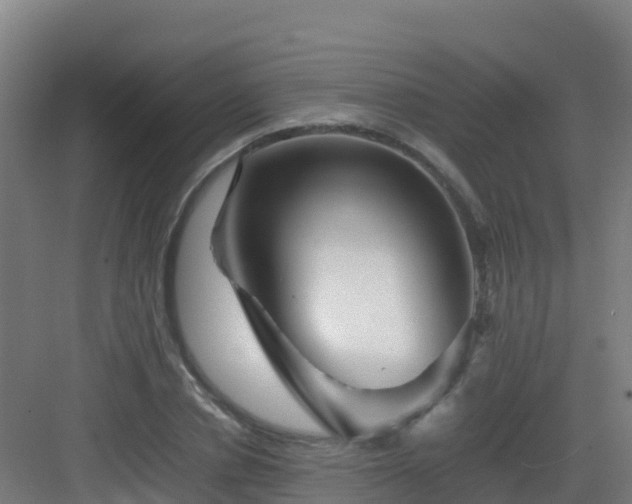 X0000083030834200702091341