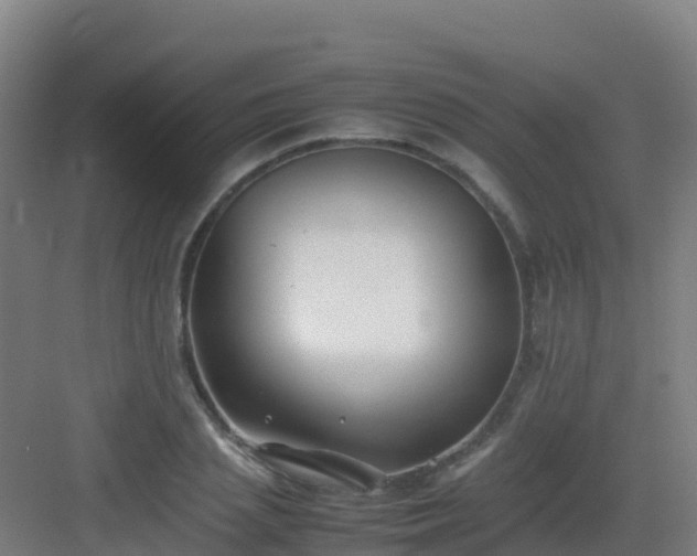 X0000083030837200702091341