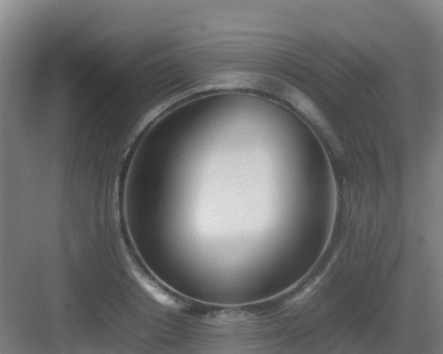 X0000083030842200702091341