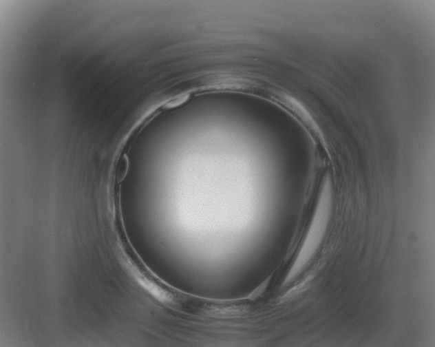 X0000083030843200702091341