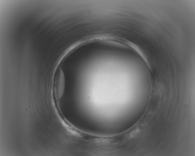 X0000083030861200702091341