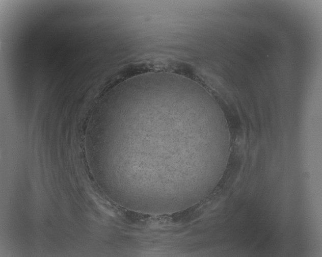 X0000083030865200702091340