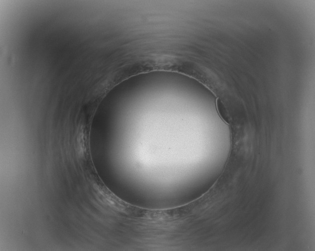 X0000083030866200702091340