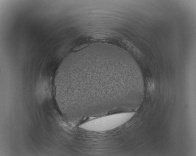 X0000083030868200702091340