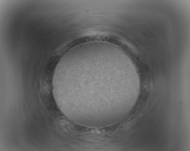 X0000083030869200702091340