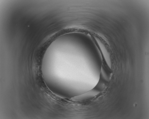 X0000083030872200702091340