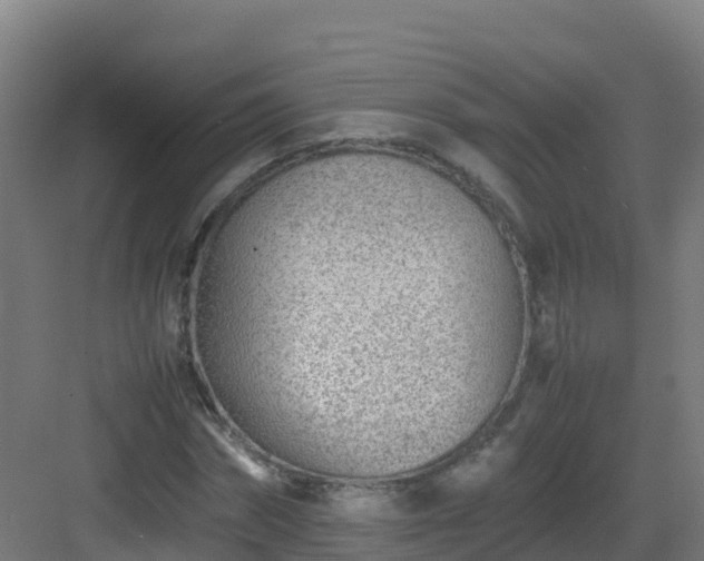 X0000083030874200702091340