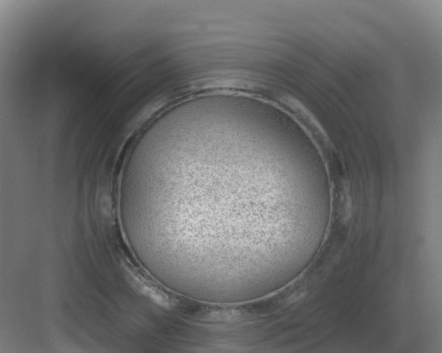 X0000083030882200702091340