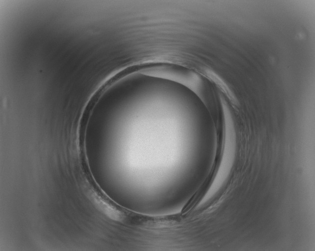 X0000083030884200702091340