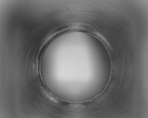 X0000083030886200702091340