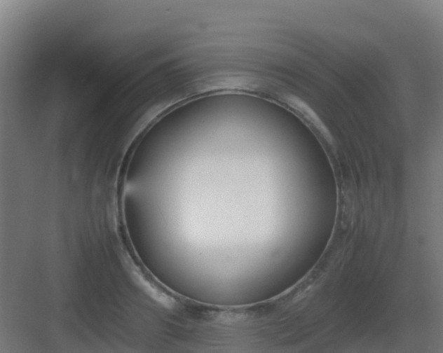X0000083030890200702091340