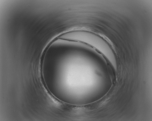 X0000083030894200702091340