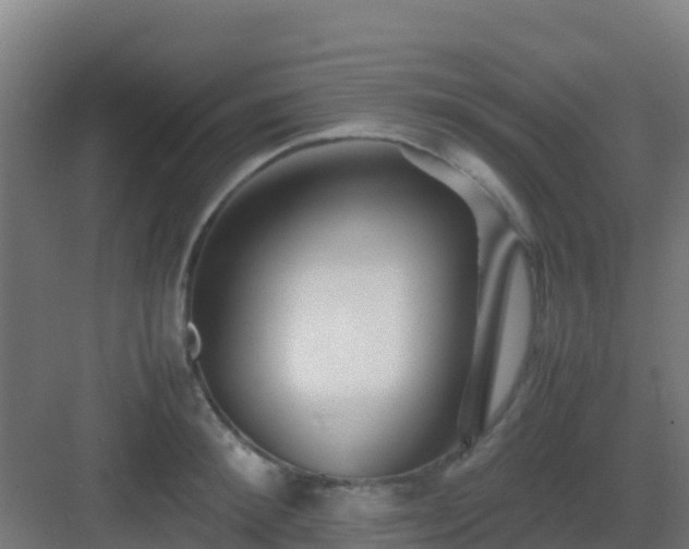 X0000083030900200702091340