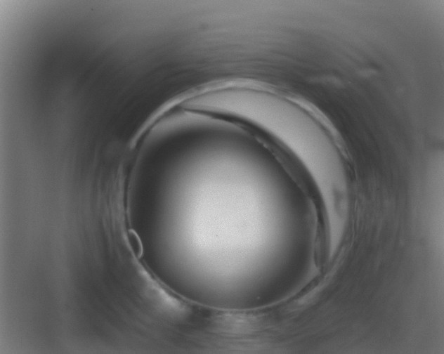 X0000083030910200702091340