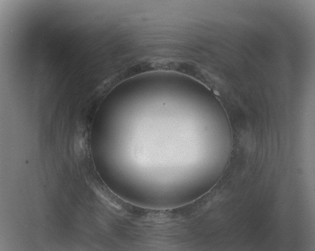 X0000083030914200702091339
