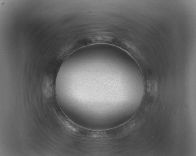 X0000083030915200702091339