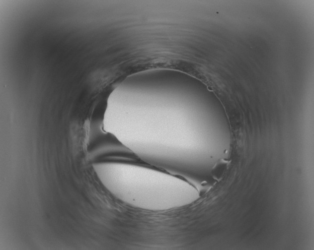 X0000083030916200702091339