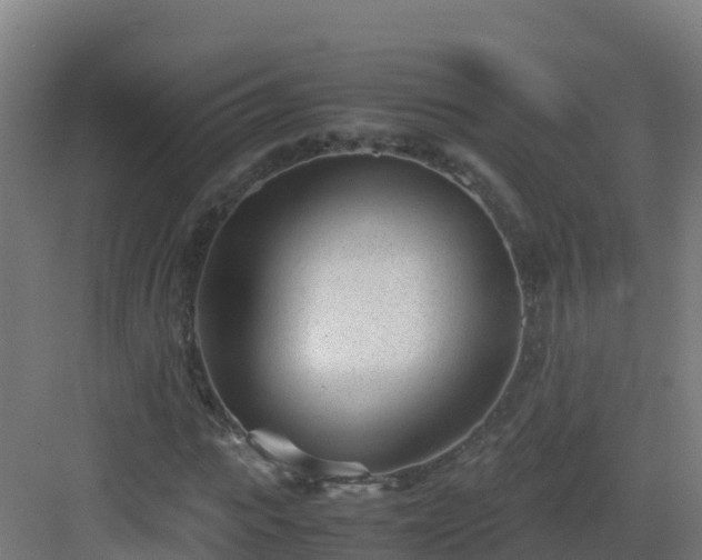 X0000083030919200702091339