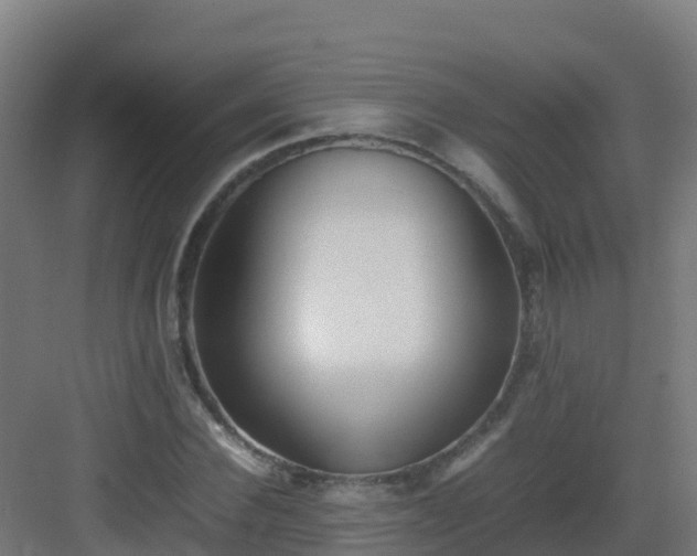 X0000083030924200702091339