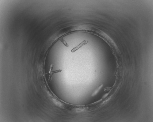 X0000083030937200702091339