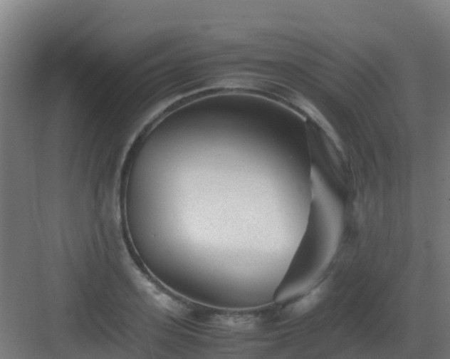 X0000083030939200702091339